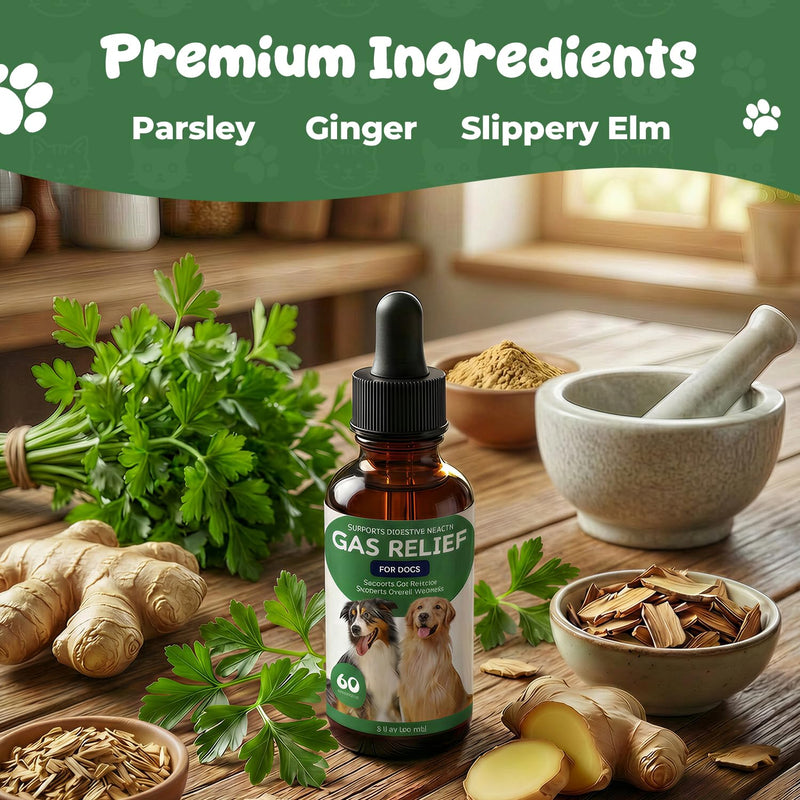 Gas Relief Supplement for Dogs Liquid, Supports Digestive Comfort & Gut Balance, Bacon Flavor, Daily Digestive Care Drops, 2 fl oz (60 mL)