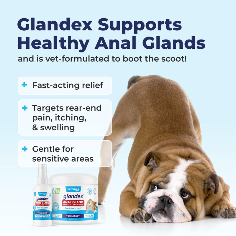 Vetnique Glandex Medicated Dog Butt Wipes & Spray for Dog Scooting - Topical Anti Itch Skin Relief for Soothing Inflamed Anal Glands in Dogs & Cats - Fast Acting Formula 50ct (50ct Wipes) 50ct Wipes - PawsPlanet Australia