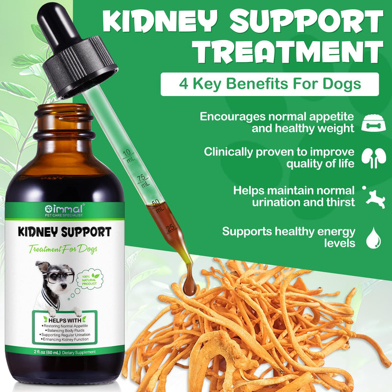 Kidney Support for Dogs - Kidney Support Supplement, Supports Immune, Urinary & Kidney Health Function, Natural Herbal Supplement (2 Fl Oz) 2 Fl Oz - PawsPlanet Australia