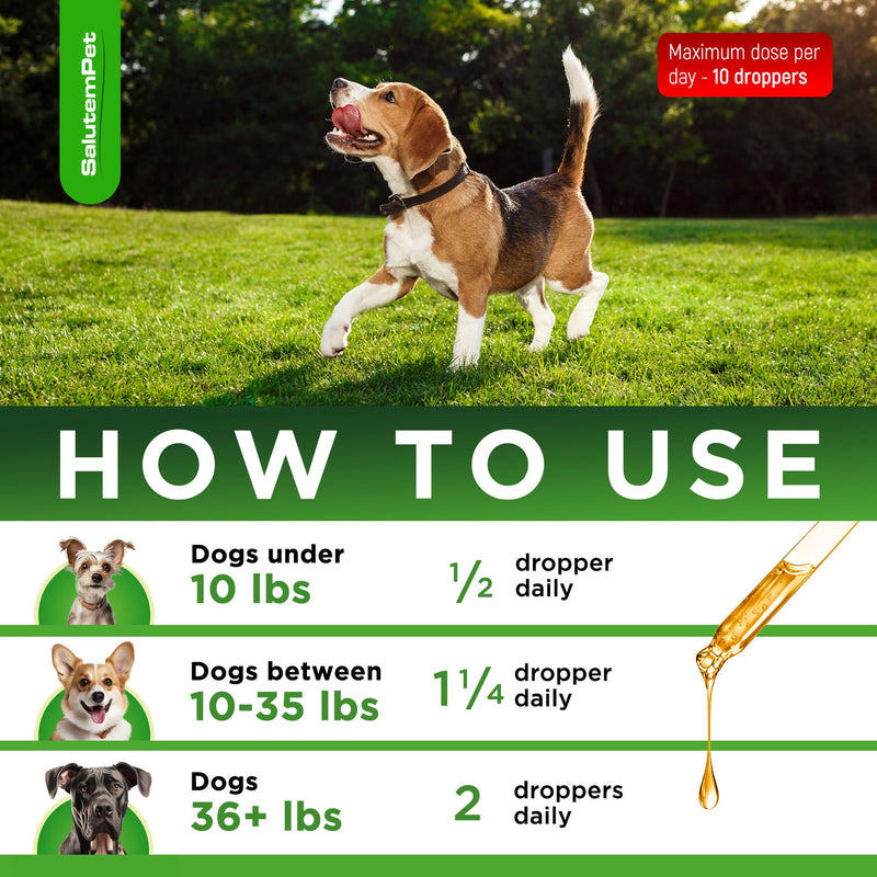 Natural Antibiotics for Dogs | Dog Antibiotics | Supports Dog Allergy Relief | Dog Itch Relief | Dog Allergy Support | Dog Multivitamin | Pet Antibiotics | Dog Antibiotics | 2 Oz Chicken