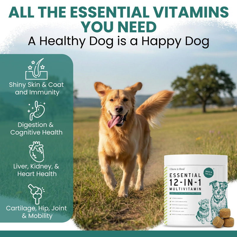 Dog Multivitamin Chewable - Chew + Heal 12-in-1, 60 Ct, Puppy, Senior Dog Vitamins & Supplements for Hip & Joint, Skin, Coat, Immune Support with Glucosamine, Omega 3,6,9, Probiotics, Chicken Flavor 60 Count
