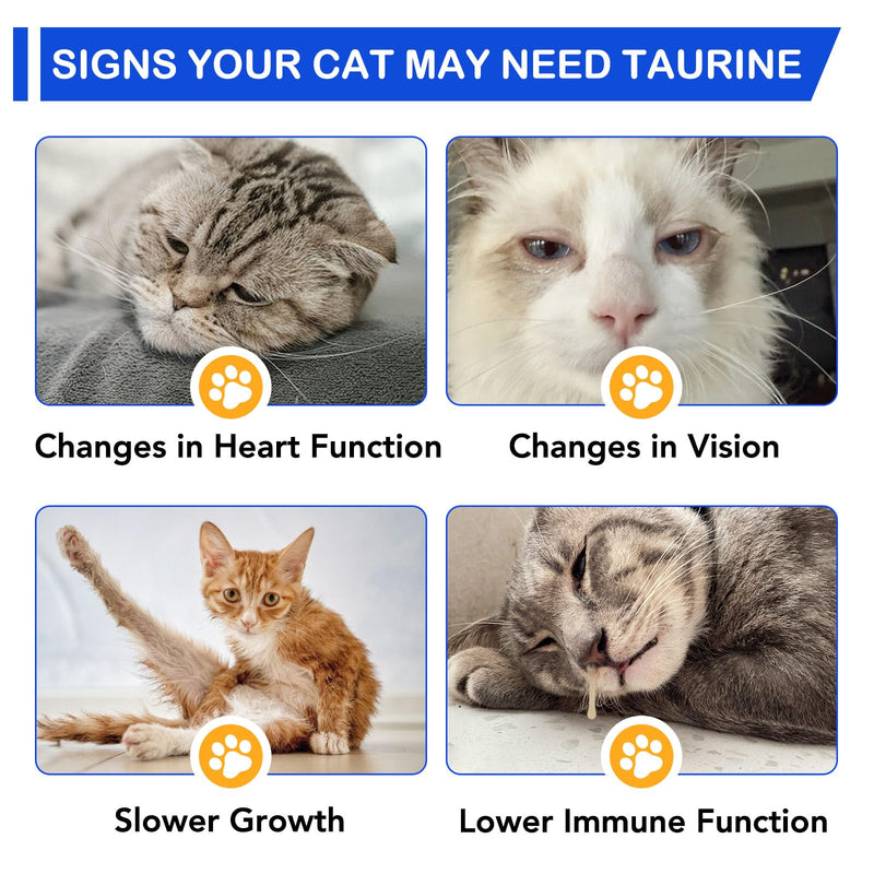 Taurine for Cats, Taurine Supplement for Cats, Support Heart, Immune & Eye Health, Liquid Taurine Drops for Cats of All Ages, 60mL