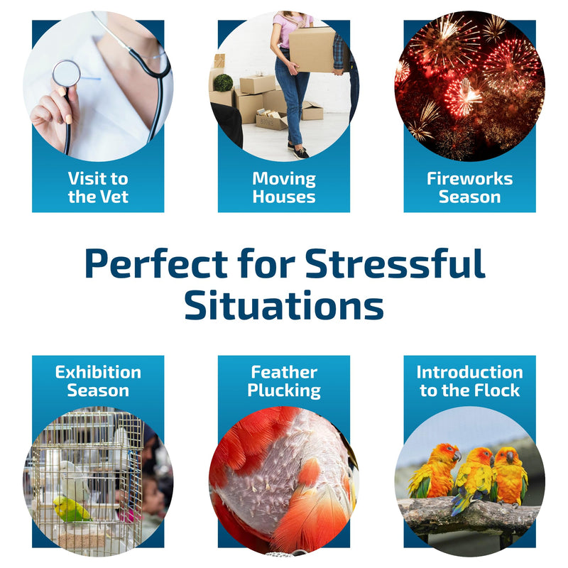 Calming Support for Small Parrots, Bird Calming Capsule, Soothes Plucking, Biting, & Screaming, Promotes Healthy Mood & Balanced Behavior - Natural & Safe for Birds 12.5oz or Less 30 Capsule