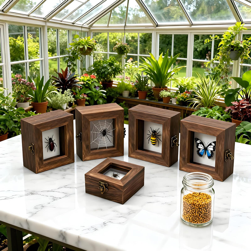Insect Pinning Kits - Includes 2 Wooden Insect Display Cases, 5 EVA Foam Spreading Boards, Coordinate Paper, Wings Pressing Paper, Insect Pins - Complete Bug Pinning Kit for Beginners