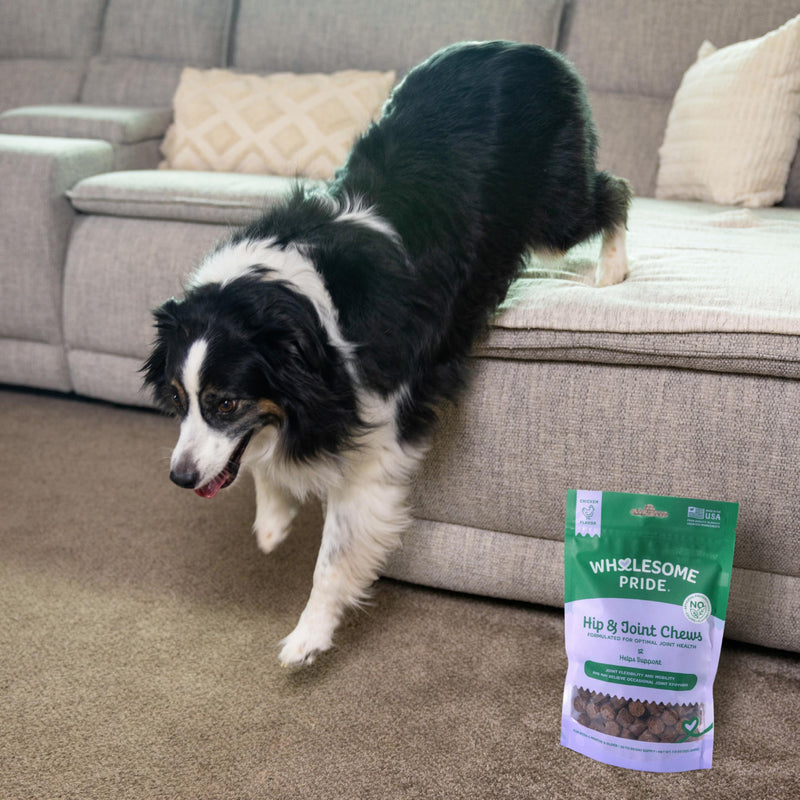 Wholesome Pride Hip & Joint Supplement for Dogs – 90 Soft Chews – Glucosamine, Chondroitin, MSM & Turmeric – Mobility Support & Arthritis Relief for Growing, Adult & Senior Dogs Hip & Joint Chew 7.9 Ounces (Pack of 1)