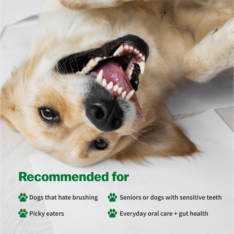 My Daily Dental Chews (50 Count) – Daily Dental & Wellness Treat for Dogs – Fresh Breath, Plaque Control, Gut + Immune Support, Skin & Coat Care – Vet-Formulated, Made in Korea, 13 g per Stick