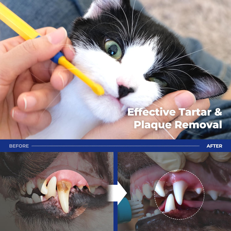 PETHROOM Dog & Cat Dental Kit for Daily Care – Enzymatic Toothpaste & Soft Bristle Toothbrush (Extra Small), Plaque & Tartar Control, EWG Verified, Fresh Breath, Sweet Potato Flavor, 2.1 oz