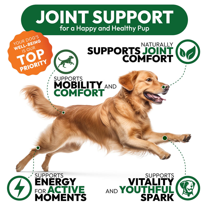 Hemp Hip and Joint Supplement for Dogs - Glucosamine for Dogs - 170 Mobility Support Chews - Advanced Joint Pain Relief Treats with Chondroitin, MSM, Turmeric - Large & Small Breeds - Made in USA 170 Chews