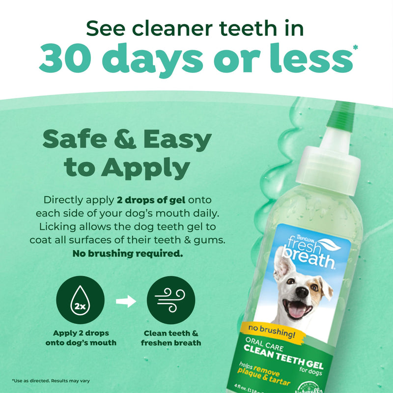 TropiClean Fresh Breath Dog Toothpaste for Teeth Cleaning, Breath Freshener, Easy to Use Plaque & Tartar Remover Gel, No Toothbrush Needed, 4oz. Original 4 Fl Oz (Pack of 1) - PawsPlanet Australia
