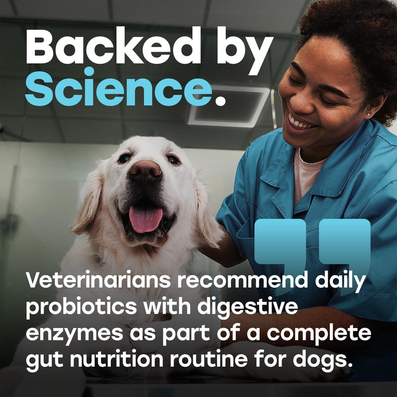 Probiotics for Dogs – Digestion, Gut Health & Firmer Stool | 1 Billion CFU, 6 Strains with Pumpkin, Papaya & Turmeric for All Breeds – Beef Soft Chews Probiotics - Beef 1 Pack