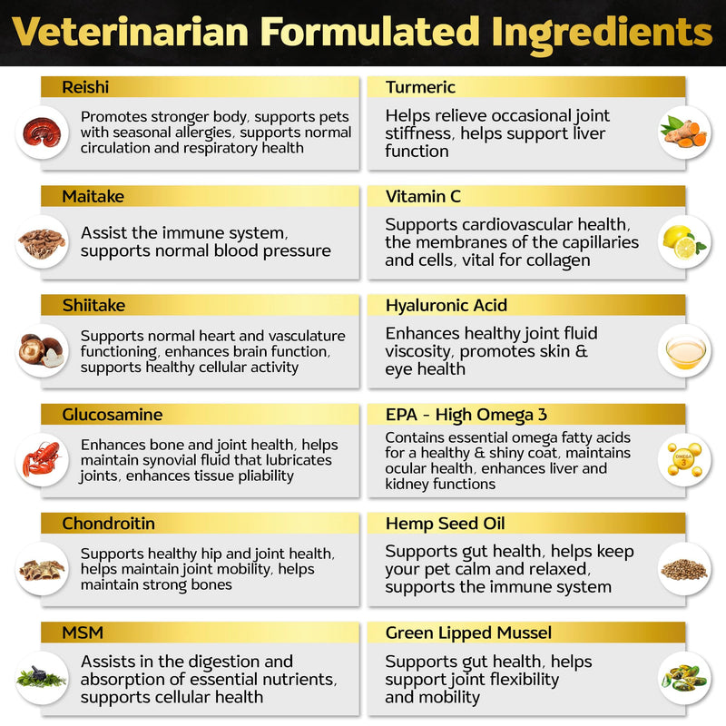 Soft Chews Hip and Joint Supplement for Dogs - Dog Joint Pain Relief Treats - Glucosamine, Chondroitin, Turmeric- Mobility Bites Supplement Hip and Joint Max Strength Bacon - 30 Soft Chews - PawsPlanet Australia
