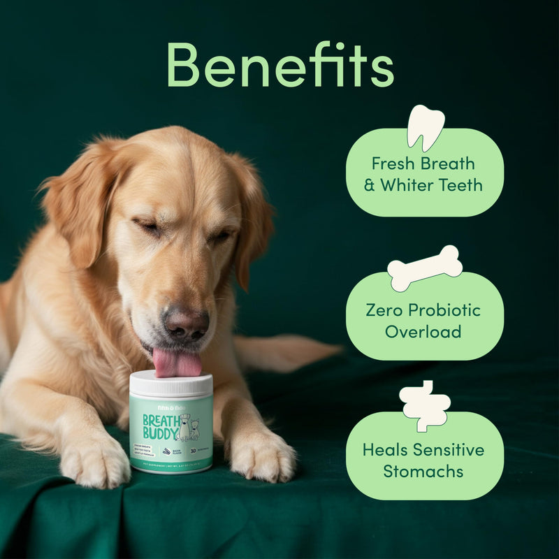 Breath Buddy Dog Dental Powder for Teeth Cleaning – Cat & Dog Breath Freshener, Helps Remove Plaque & Tartar, Gentle Formula for Sensitive Stomachs, Natural Ingredients, USA Made