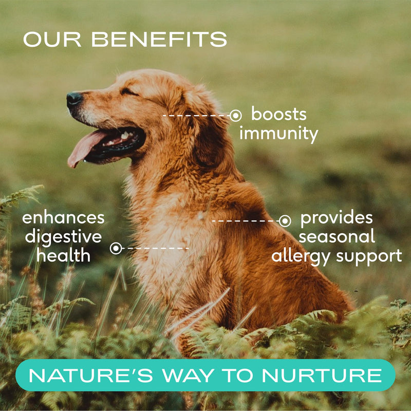 Native Pet The Daily Dog Vitamins & Supplements (60 Scoops) & Bovine Colostrum Powder (120 Scoops) – 11-in-1 Multivitamin, Allergy Relief, Immune Support & Itchy Skin Treatment for Dogs
