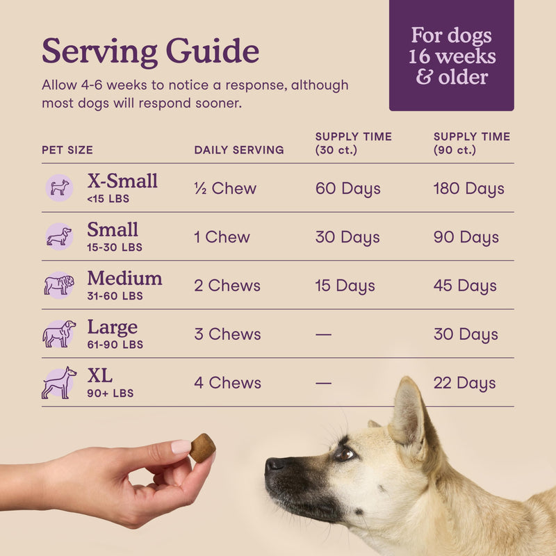 Fera Pets Dog Calming Chews - Helps Manage Everyday Stress & Separation - Promotes Relaxation - Ashwagandha & Priome® Mental Wellbeing Postbiotic Blend - 90 Soft Chews 90 Chews