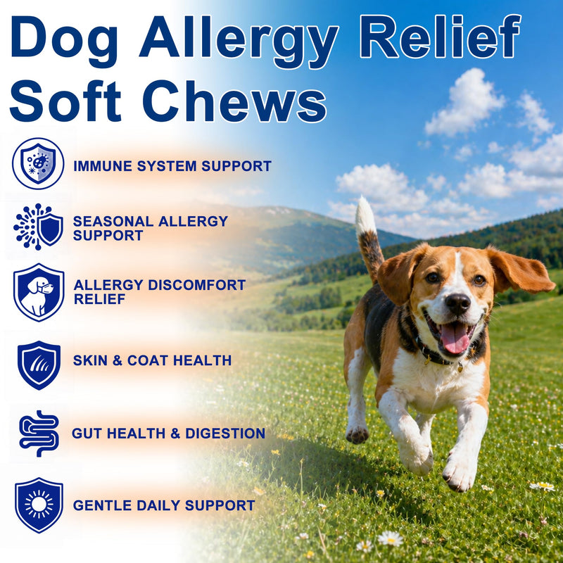 Dog Allergy Chews, Allergy Immune Support for Dogs, Seasonal Allergies Support, Dog Itching Skin Hot Spots Help Relief with Probiotics Turmeric Colostrum Omega-3, Chicken Flavor, 100Ct 100 count