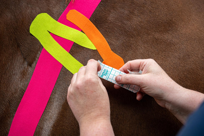 Vetkintape® Cutter: The Ultimate Kinesiology Tape Cutting Device | Effortless, Precise, and Convenient! | Pre-Cut Veterinary Kinesiology Tape On Demand | Cut 2.4 inch to Desired Lengths & Strokes