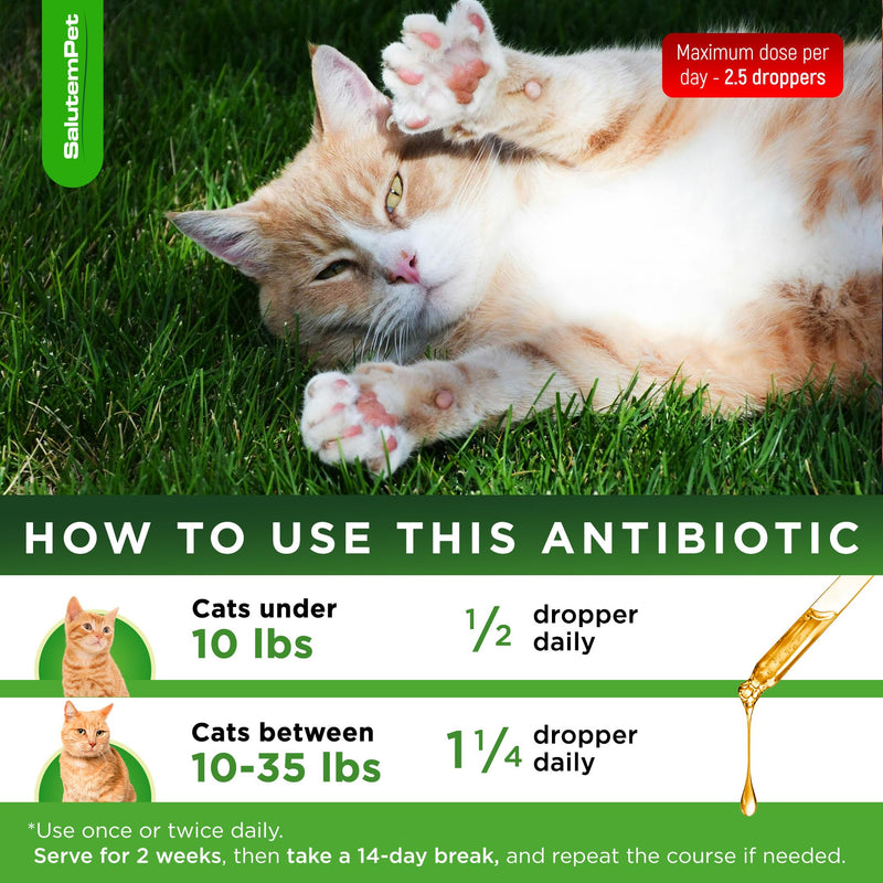 Set of Cat Probiotic & Cat Antibiotic + Pendant – Probiotics for Digestion & Stomach Support – Antibiotics for Bladder & Kidney Function – General Wellness & Complex Care – 2 oz x 2 Chicken Flavor