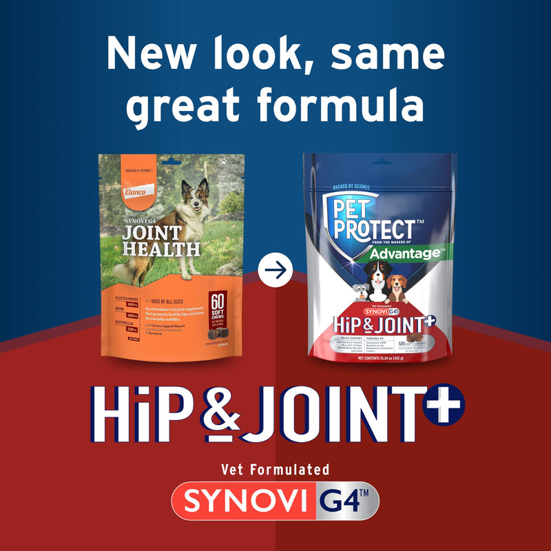 Pet Protect Dog Hip & Joint+ Supplement for Active & Aging Dogs, Vet-Formulated Synovi G4, Dog Glucosamine, Chicken-Flavored Soft Chews (120 Count) 120 Chews