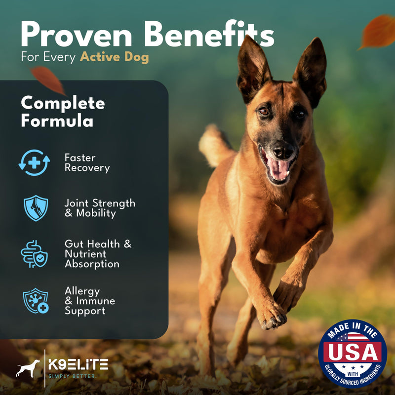 Dog Allergy Relief Chews for Itching Skin – Anti Itch, Gut Health & Immune Support with Colostrum & Omega 3 – Skin & Coat Supplement for Dogs 90 Count