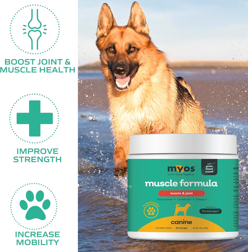 MYOS Muscle & Joint – All Natural Canine Joint Health Supplement Powered by Fortetropin with Green Lipped Mussel – Reduce Muscle Loss, Boost Joint Mobility & Improve Recovery and Reduce Inflammation - NewNest Australia