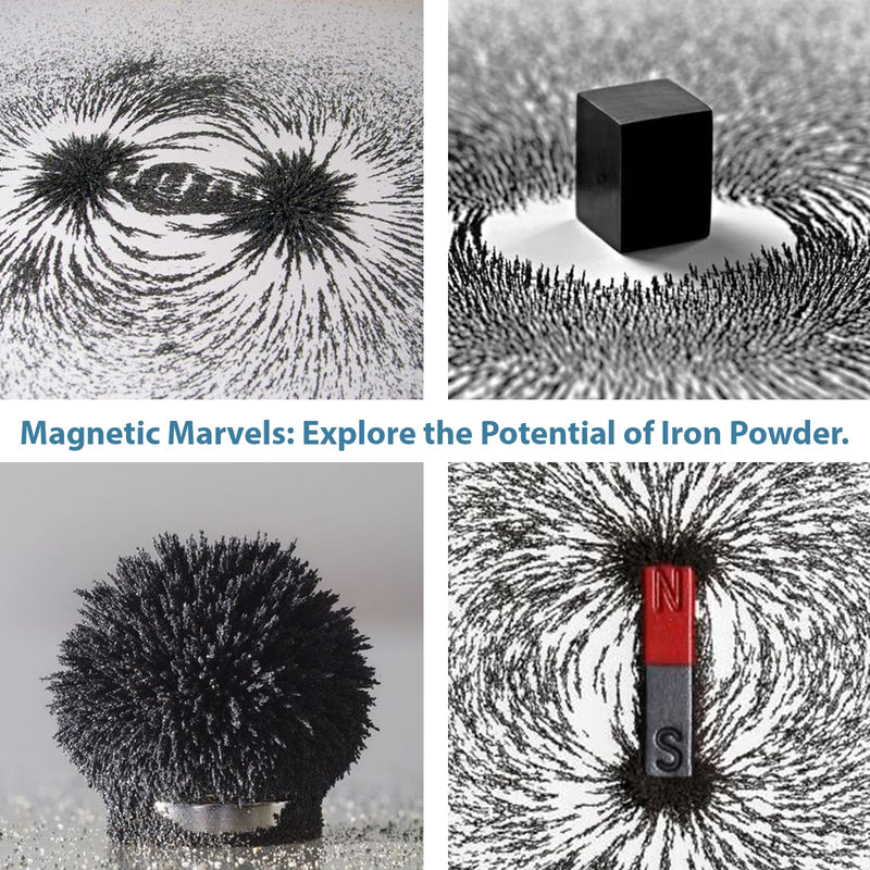 DAILYLIFE Magnetic Sand Iron Filings for Science, 12 Ounces of Iron Powder in Glass Bottles with Shaker Holes and Lid, 1 Pack Iron Oxide Powder for Education and School Projects, Metal Powder 12 oz(w/glass shaker)