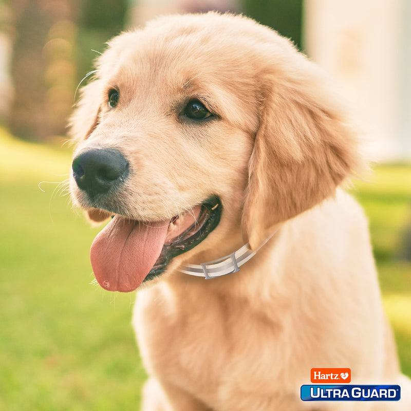 UltraGuard Reflecting Flea & Tick Collar for Dogs & Puppies, fits up to 26 inch Necks, 1 Count