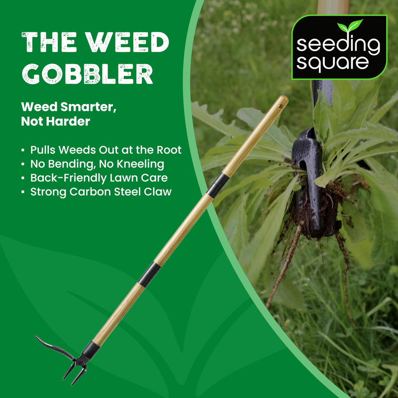 Seeding Square The Weed Gobbler Carbon Steel & Bamboo Stand-Up Weed Puller Tool for Dandelions and Single-Root Weeds – Ergonomic Lawn Weeder for Back-Friendly Weed Removal