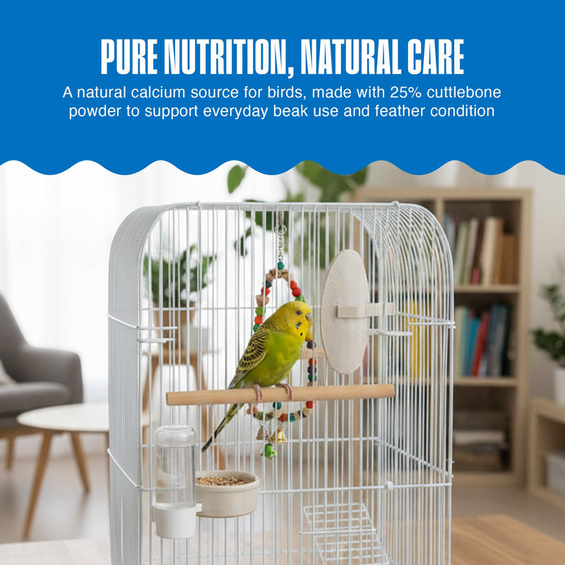 Penn-Plax Bird-Life E-Cuttlebone Original, 3 Pk (2 Count Each) - Durable, Less Brittle Cuttlebones Enriched with Omega 3, Honey & Vitamin B1 -Easy Mounting, Cage Clip - Great for All Bird Sizes -White 2 Count (Pack of 3)