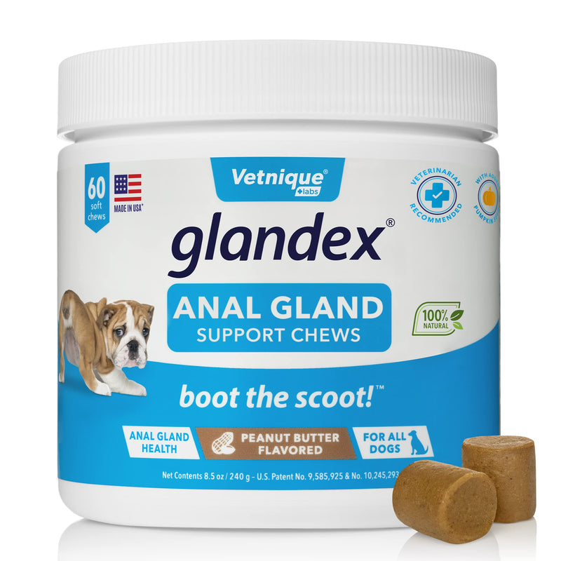 Glandex Anal Gland Medicated Spray for Dogs & Cats (4oz) and Glandex Anal Gland Support Chews 60 Ct Bundle Dog Deodorizing Spray & Anti-Itch Spray for Dogs, Anal Gland Dog Treats with Probiotics - PawsPlanet Australia