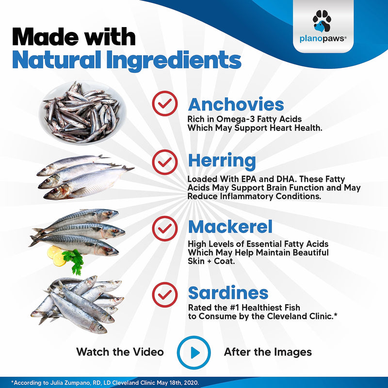 Omega 3 Fish Oil for Dogs - Better Than Salmon Oil - Dog Fish Oil Supplement to Reduce Shedding & Itching - Supports Joints, Brain, and Heart Health - Skin and Coat Supplement - Liquid Fish Oil 12 Oz
