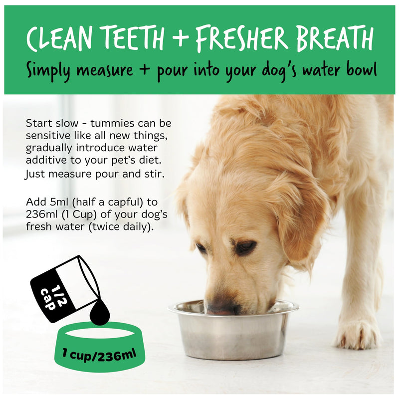BUGALUGS Dog Breath Freshener Dental Care Water Additive. Clean Teeth, Healthy Gums & Fresh Breath - Natural Dog Plaque Remover & Tartar Remover for Teeth. No Brushing Needed (16.9 Oz Water Additive) 16.9 Oz Water Additive