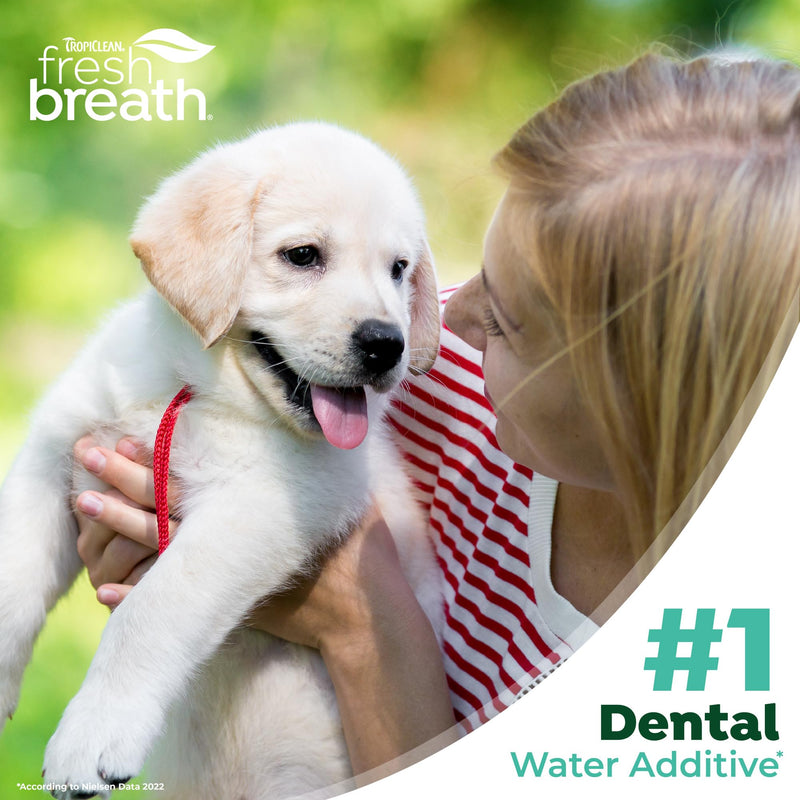 TropiClean Fresh Breath Water Additive for Puppies, Teeth Cleaning and Breath Freshener Solution, No Toothpaste or Toothbrush Required, 8 oz. 8 Fl Oz (Pack of 1)