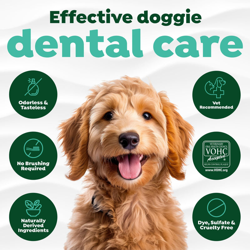 TropiClean Fresh Breath Water Additive for Dogs | Dog Breath Freshener & Teeth Cleaning Solution | No Toothpaste or Toothbrush Required | 8 oz Dog Water Additive 8 Ounce (Pack of 1)