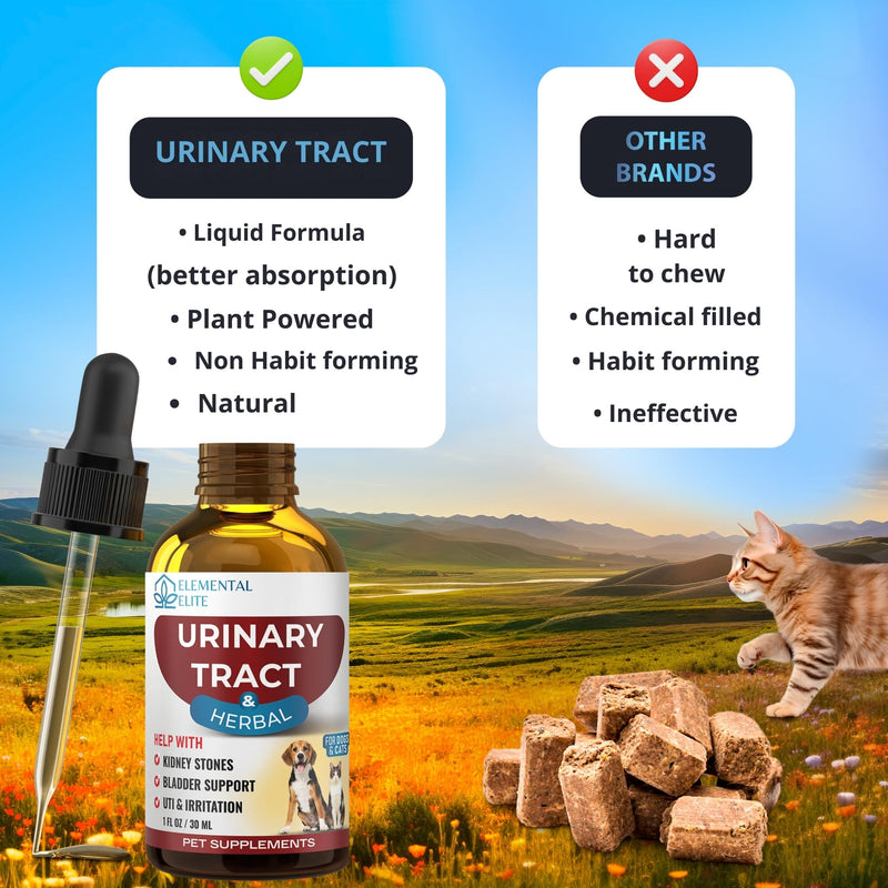 EDUZEBRA Urinary Tract Health Treatment for Dogs & Cats – Natural Herbal UTI Support Drops with Cranberry Extract – Promotes Bladder, Kidney & Digestive Wellness – Support Renal Function