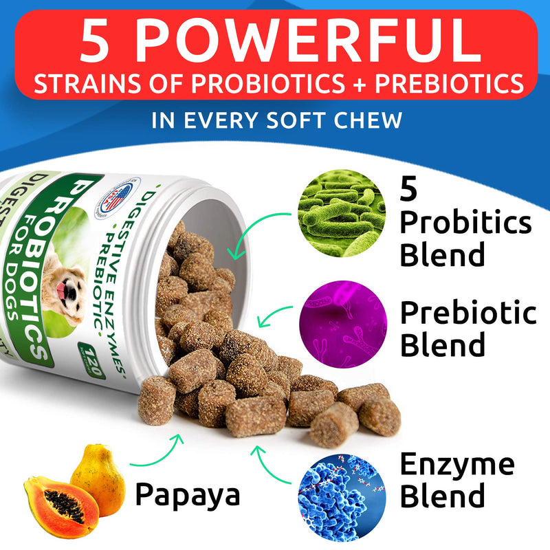 Dog Probiotics Chews - Gas, Diarrhea, Allergy, Constipation, Upset Stomach Relief, with Digestive Enzymes + Prebiotics - Chewable Fiber Supplement - Improve Digestion, Immunity - Made in USA 120 chews - PawsPlanet Australia