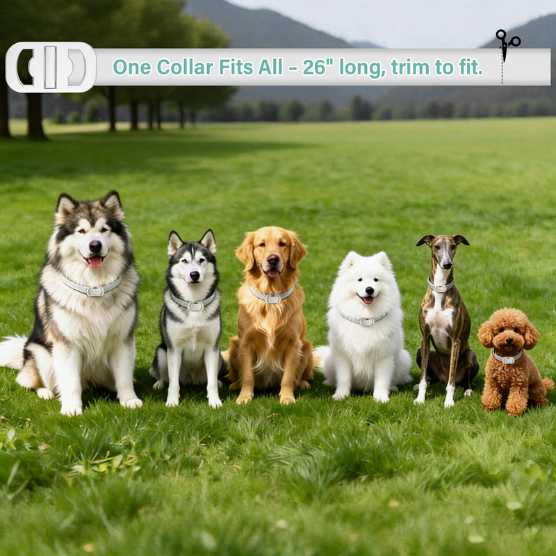 Flea and Tick Collar for Dogs, 6 Pack Natural Flea and Tick Prevention for Dogs in a Waterproof Design with Natural Essential Oils, Adjustable Multi-Pest Repellent Collar for All Dog Sizes