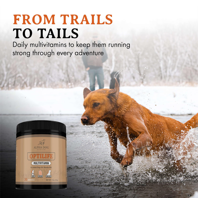OptiLife Dog Multivitamin Powder - Adult Dog Multivitamin with Probiotics, Allergy Support, Joint Support, Skin & Coat Support - Dog Vitamins and Supplements - Multivitamin for Dogs (30 Servings) 30 Servings - PawsPlanet Australia
