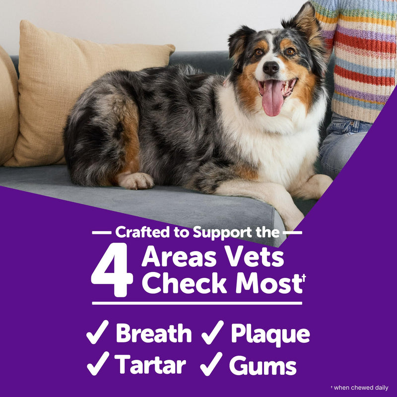 Whimzees Wellness Brushzees Dog Dental Treat, VOHC Accepted Chews, Freshens Breath, Small Size, 4.2 oz Bag, 8 Count (Pack of 2) Dental Small 8 Count (Pack of 2)