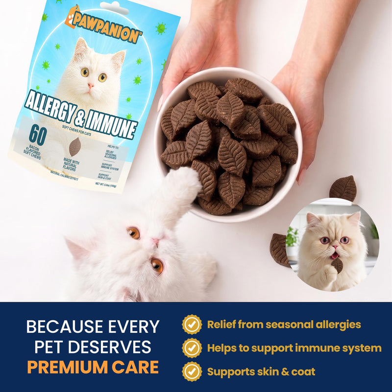 Allergy & Immune Soft Chews for Cats, Itchy Skin & Seasonal Allergy Relief, Omega 3 + Colostrum + Probiotics, Immune Support, 60 Soft Chews Bacon Flavor