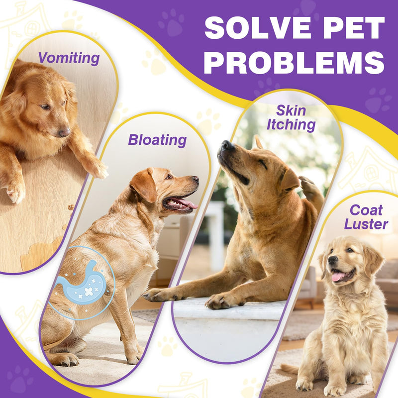 Probiotics for Dogs Dog Probiotics for Digestive Health Gut Health for Dogs Probiotic Dog Chews Probiotics for Dogs Immune Support Chicken Flavor 50ct