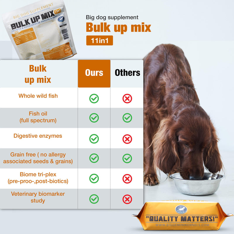 BGK Big Dog Supplement – (BGK Bulk UP) BGK BULK UP - PawsPlanet Australia