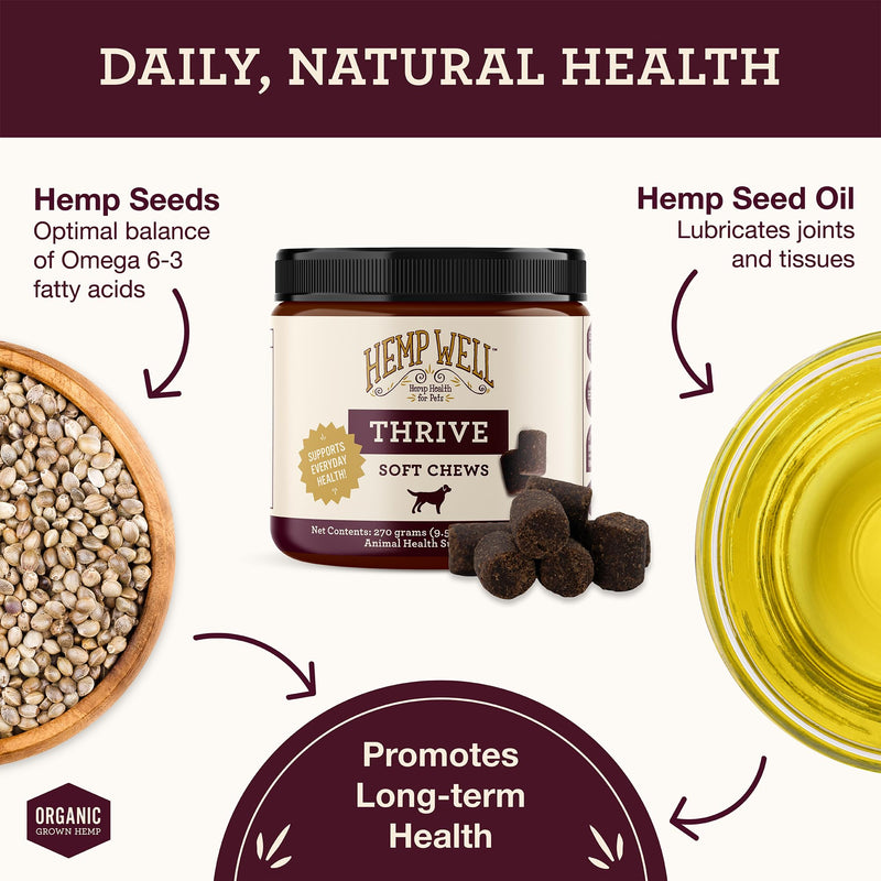 Hemp Well Dog Soft Chew Trial Pack Bundle - Organic Hemp Soft Chews (Calm, Immune, and Thrive!)