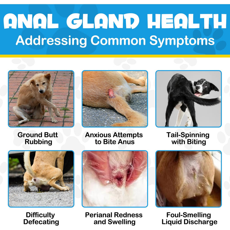 Anal Gland Support Soft Chews for Dog, 150PCs Dog Anal Gland Treats w/Pumpkin, Digestive Enzyme & Probiotics Support Healthy Bowel Function - Dog Health Supplies Fibre Supplements Chews - Beef Flavor - PawsPlanet Australia