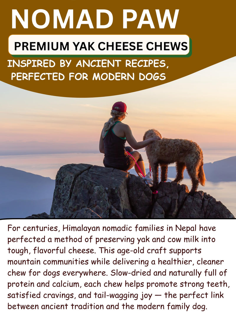 Himalayan Yak Cheese Dog Chews for Small Dogs – Long Lasting Dog Treats, 5 Pack | Natural Limited Ingredient Dog Bones | Rawhide Free Chews for Small Breeds, Puppies & Gentle Chewers Small 5 Pack