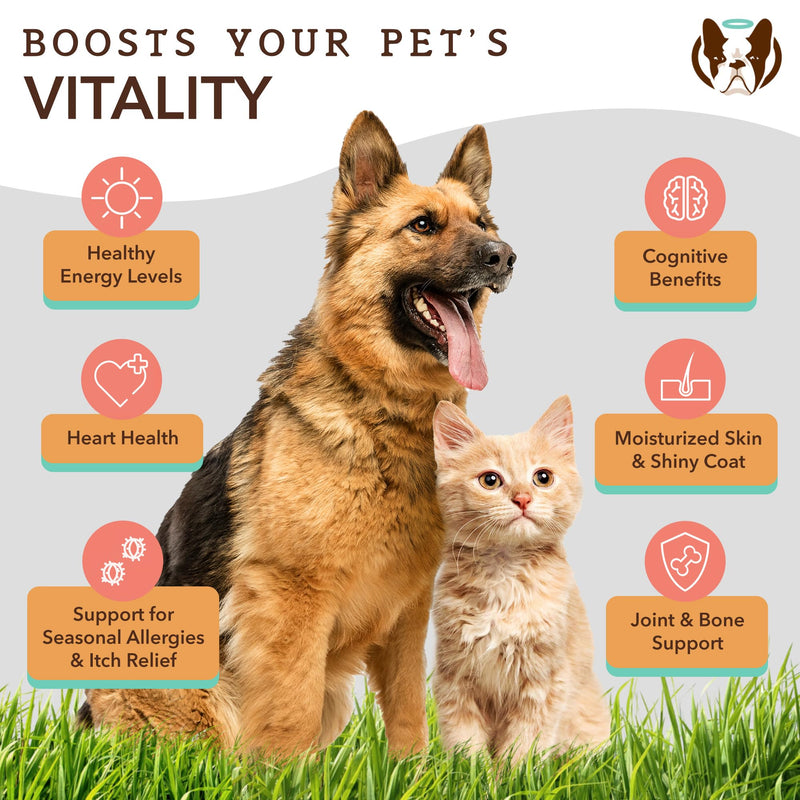 Natural Dog Company Healthy Joint Travel Bundle, includes (1) Hip and Joint Chews Supplement - 90 pcs glucosamine chondroitin for dogs, (1) Wild Alaskan Salmon Oil - 8 oz Salmon oil for dogs on the go - PawsPlanet Australia