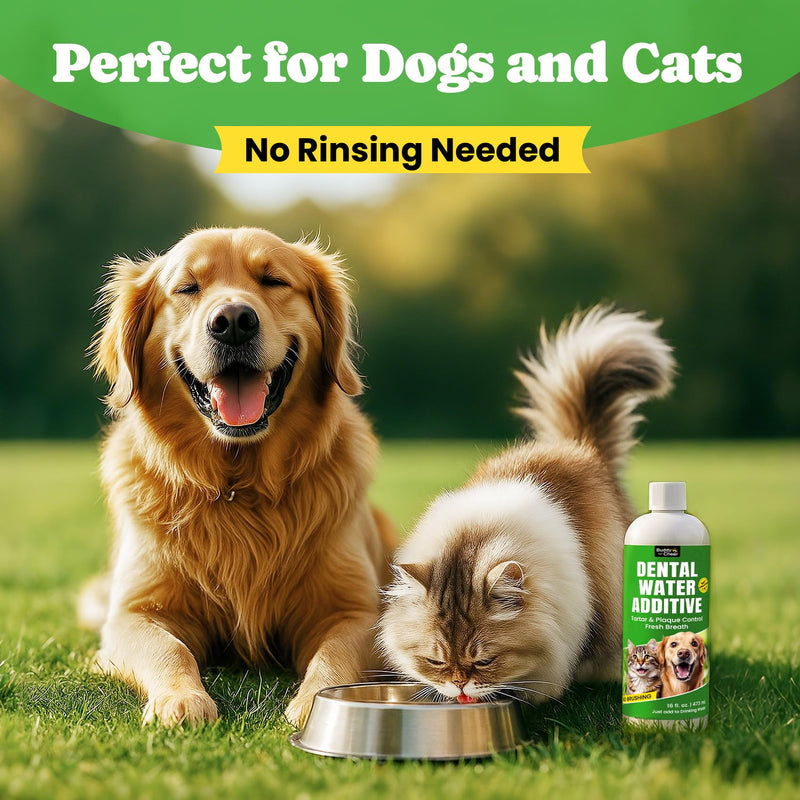 Cat Oral & Joint Support Bundle – Dental Water Additive with Joint Support Creamy-Filled Treats for Mobility & Daily Comfort