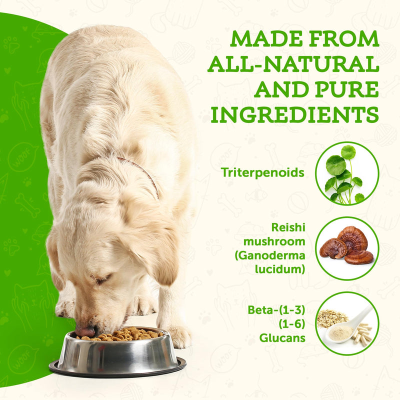 Animal Essentials Longevity Reishi Mushroom Supplement for Dogs & Cats - Healthy Cardiovascular & Liver Function, Supports Long Term Health, Mushroom Powder Extract, Antioxidant - 1.8 Oz (Pack of 1)
