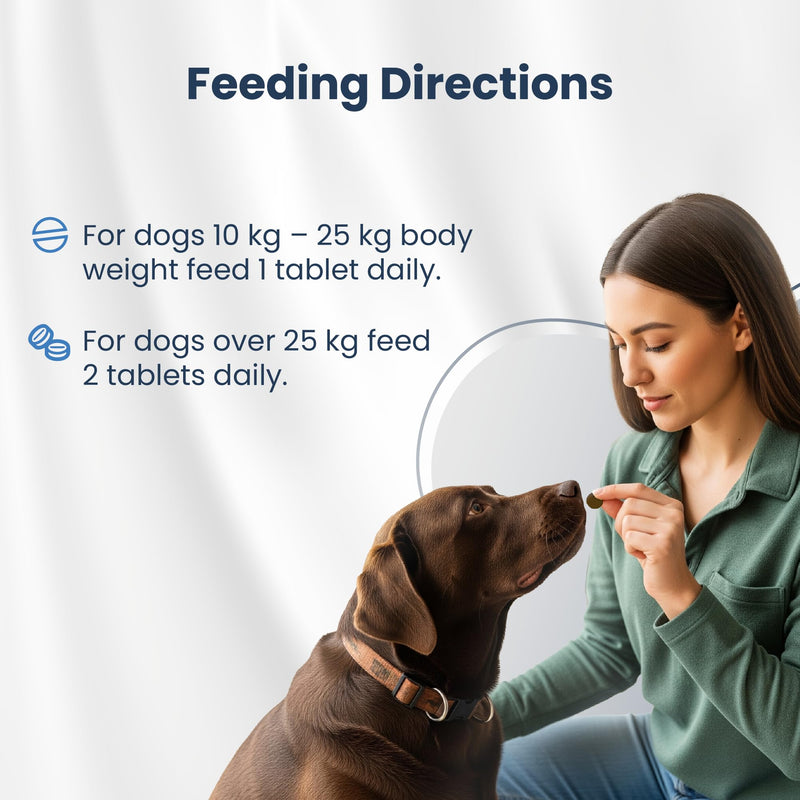 Bio PetActive Synbioflora | Probiotics&Prebiotics for Medium and Large Breed Dogs | Support Digestion,Gut and Stomach Health | Helps with Diarrhea,Gas and Constipation Relief | 60 Chews