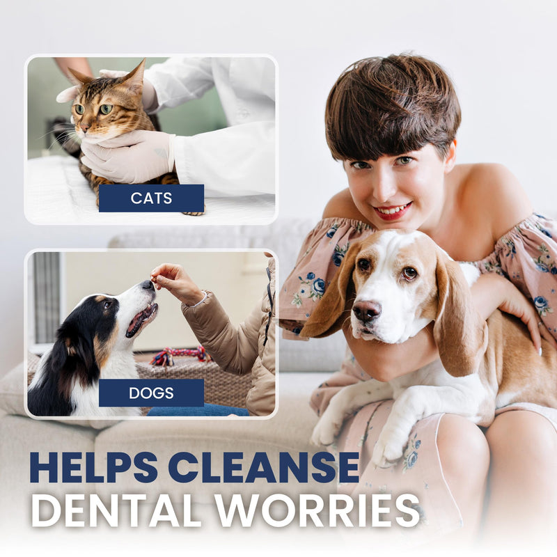 Rad Health Water Additive – Dog Dental Water Additive for Fresh Breath, Plaque & Tartar Control, Easy Mouthwash for Dogs & Cats, 330ml Formula Supports Daily Oral Hygiene, No Brushing Needed