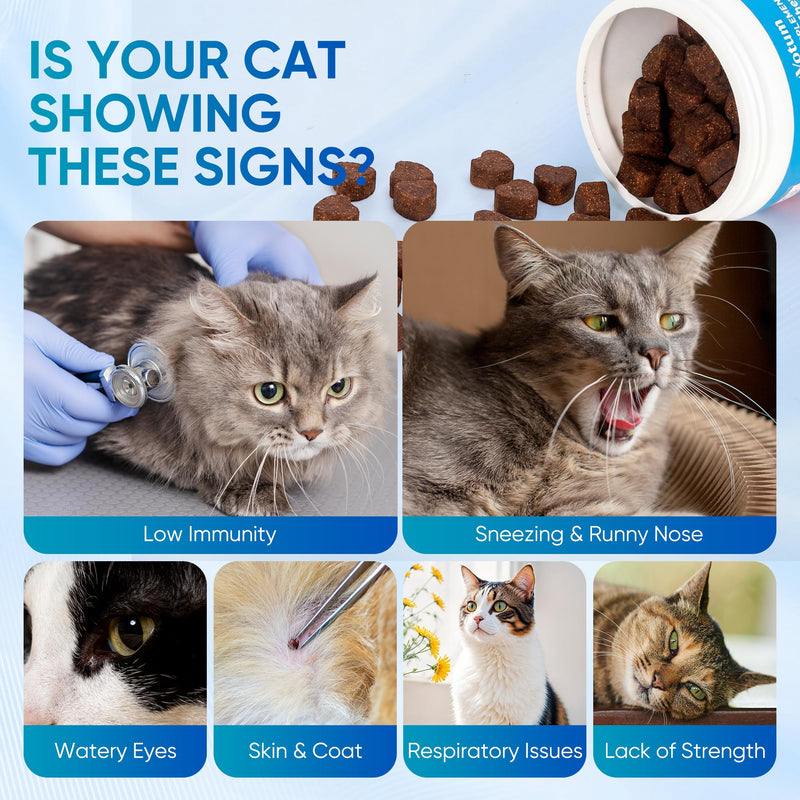 Cat Multivitamin Amino Acids Chews, Pet Vitamins and Supplements Contains Lysine, DL-Methionine and Taurine, Supports Immune and Liver Health, Improves Skin Condition, Maintains Eye Function